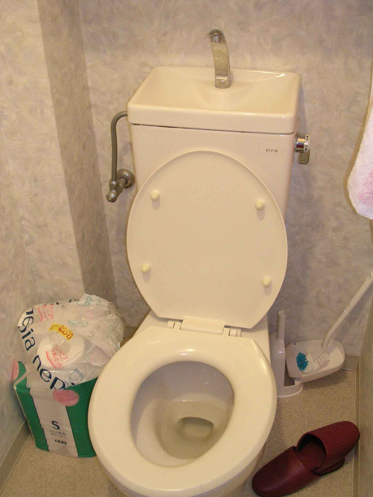 toilet1.jpg